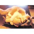 Jouet en peluche chat réaliste en peluche poisson doux chats jouet teaser grattoir pour animaux de compagnie planche à gratter Simulation cataire chat jouets